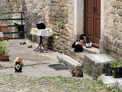 casa acqua dolce - die region